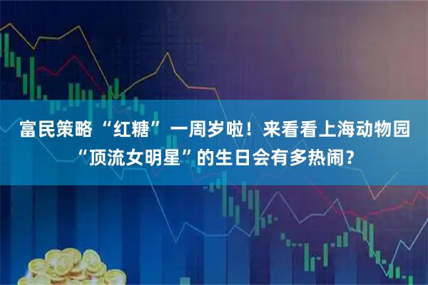 富民策略 “红糖” 一周岁啦！来看看上海动物园“顶流女明星”的生日会有多热闹？