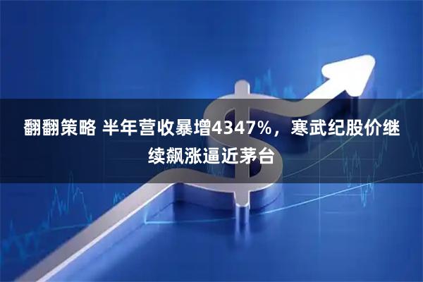 翻翻策略 半年营收暴增4347%,寒武纪股价继续飙涨逼近茅台