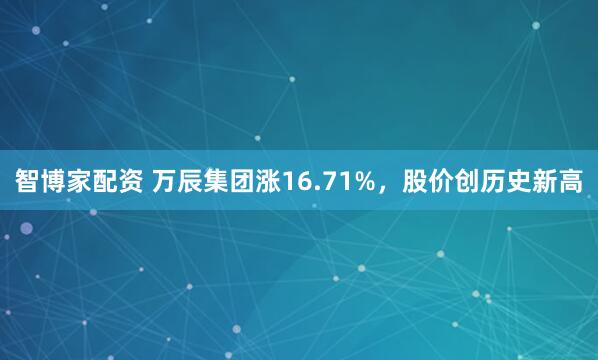 智博家配资 万辰集团涨16.71%，股价创历史新高