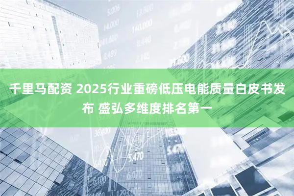 千里马配资 2025行业重磅低压电能质量白皮书发布 盛弘多维度排名第一