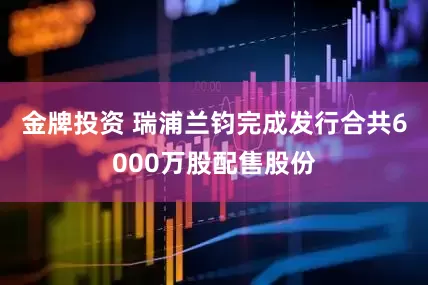 金牌投资 瑞浦兰钧完成发行合共6000万股配售股份
