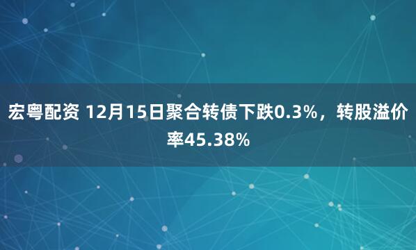 宏粤配资 12月15日聚合转债下跌0.3%，转股溢价率45.38%